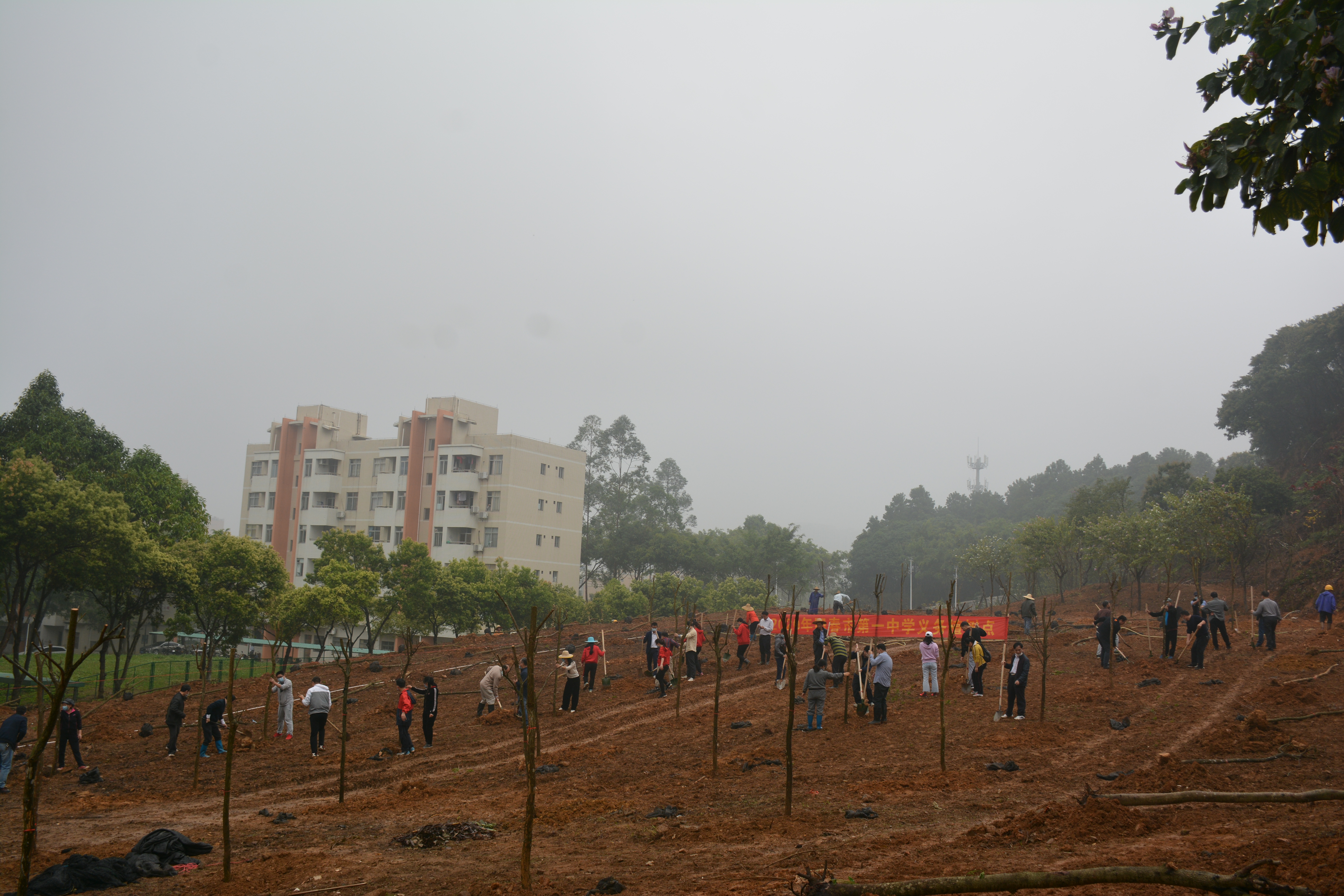 DSC_7807.JPG