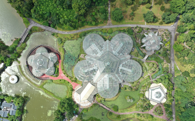 廣州華南植物園。來源：視覺中國