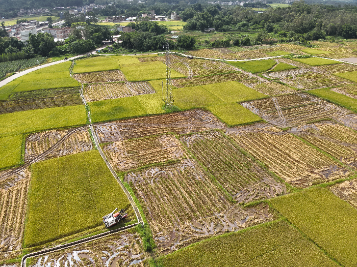 DJI_20230704100029_0008_V.JPG