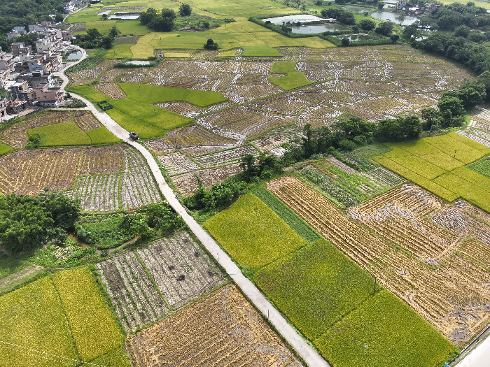 DJI_20230704095840_0003_V.JPG