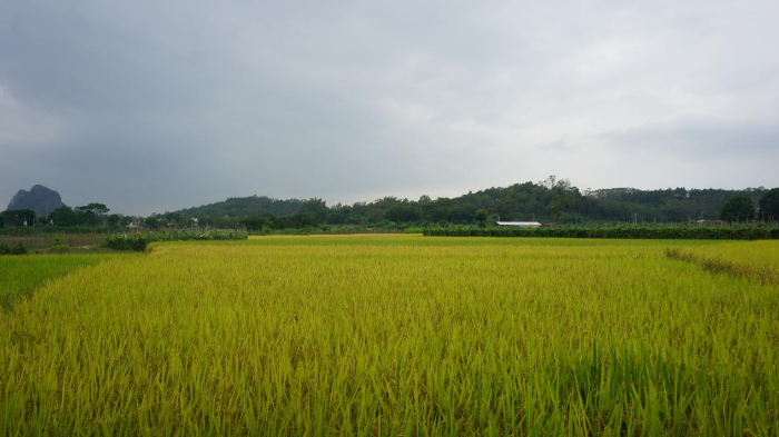 DƬ1.png