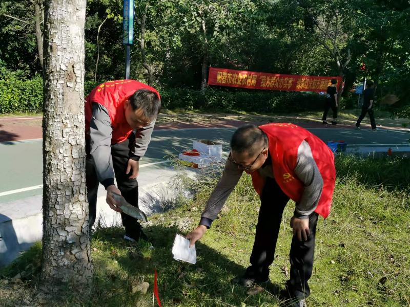 第二組東湖1.jpg